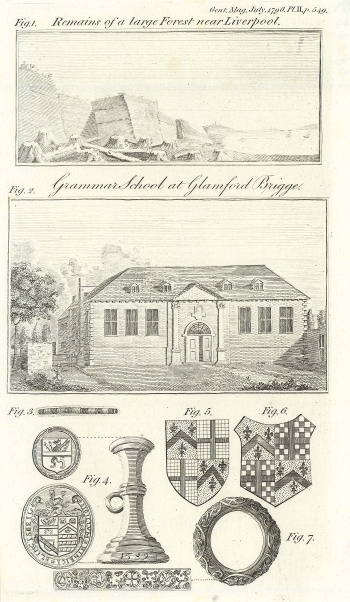 Petrified forest near Liverpool. Sir John Nelthorpe School, Brigg, Lincs 1796